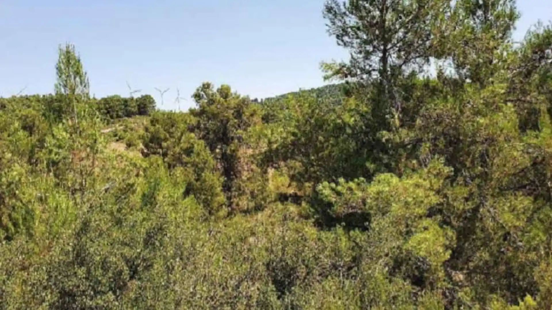 Terreno en venta en Almansa