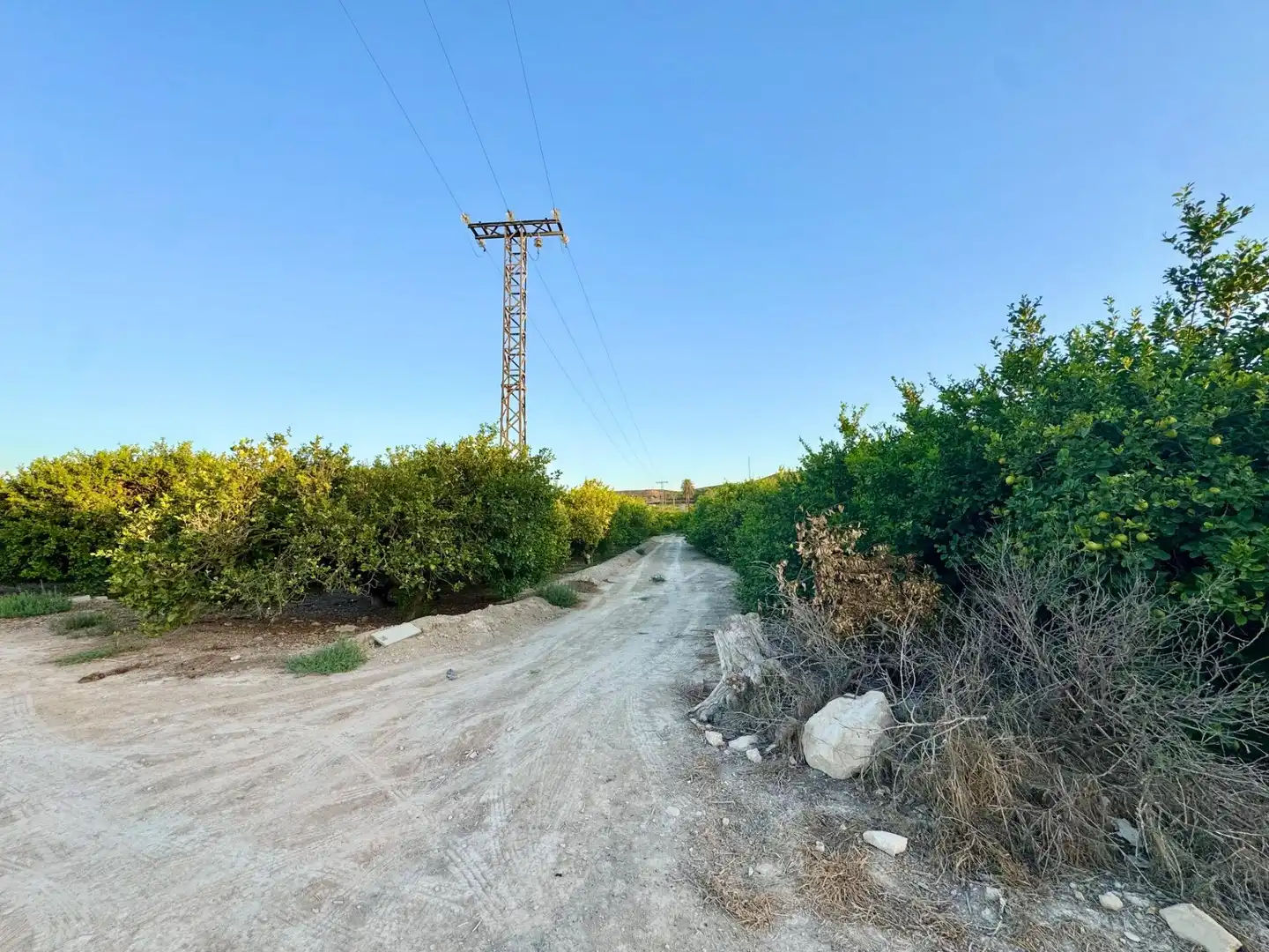 Land for sale in Orihuela