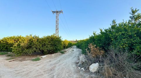 Foto 3 de Terreny en venda a Barrio Hurchillo-arneva, 1, Desamparados - Hurchillo - Torremendo, Orihuela