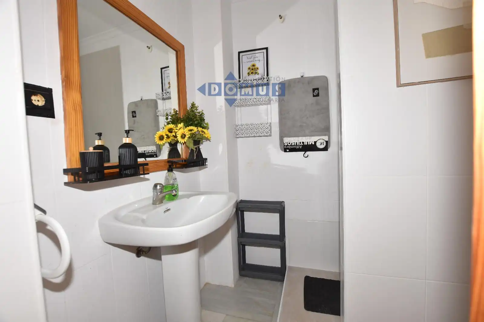Bathroom of Apartments for rent in Centro