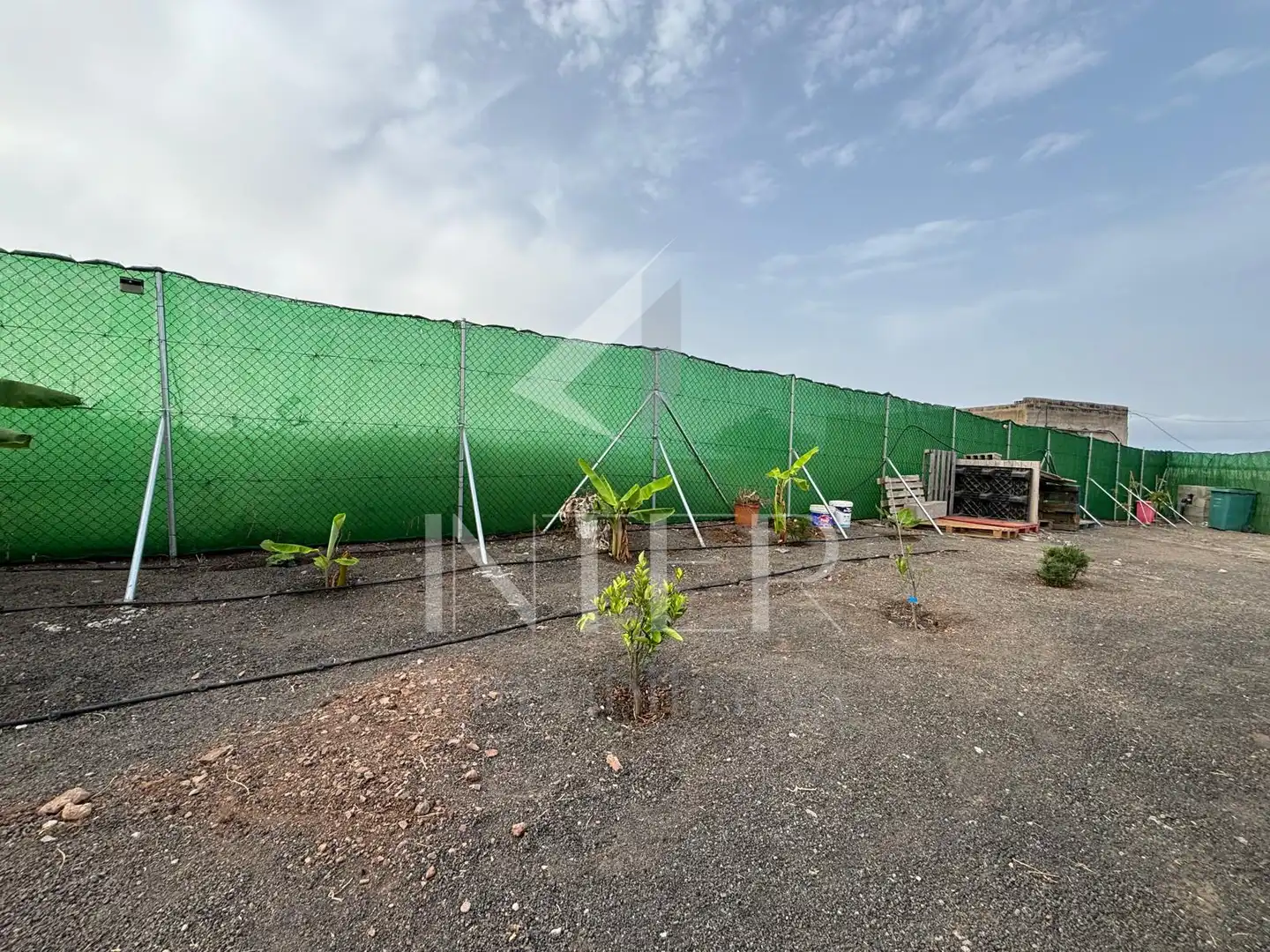 Finca rústica en venda en Las Palmas de Gran Canaria amb Internet