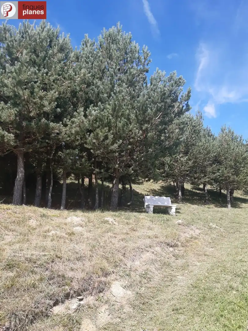 Houses for sale in Les Valls de Valira  with Private garden and Furnished