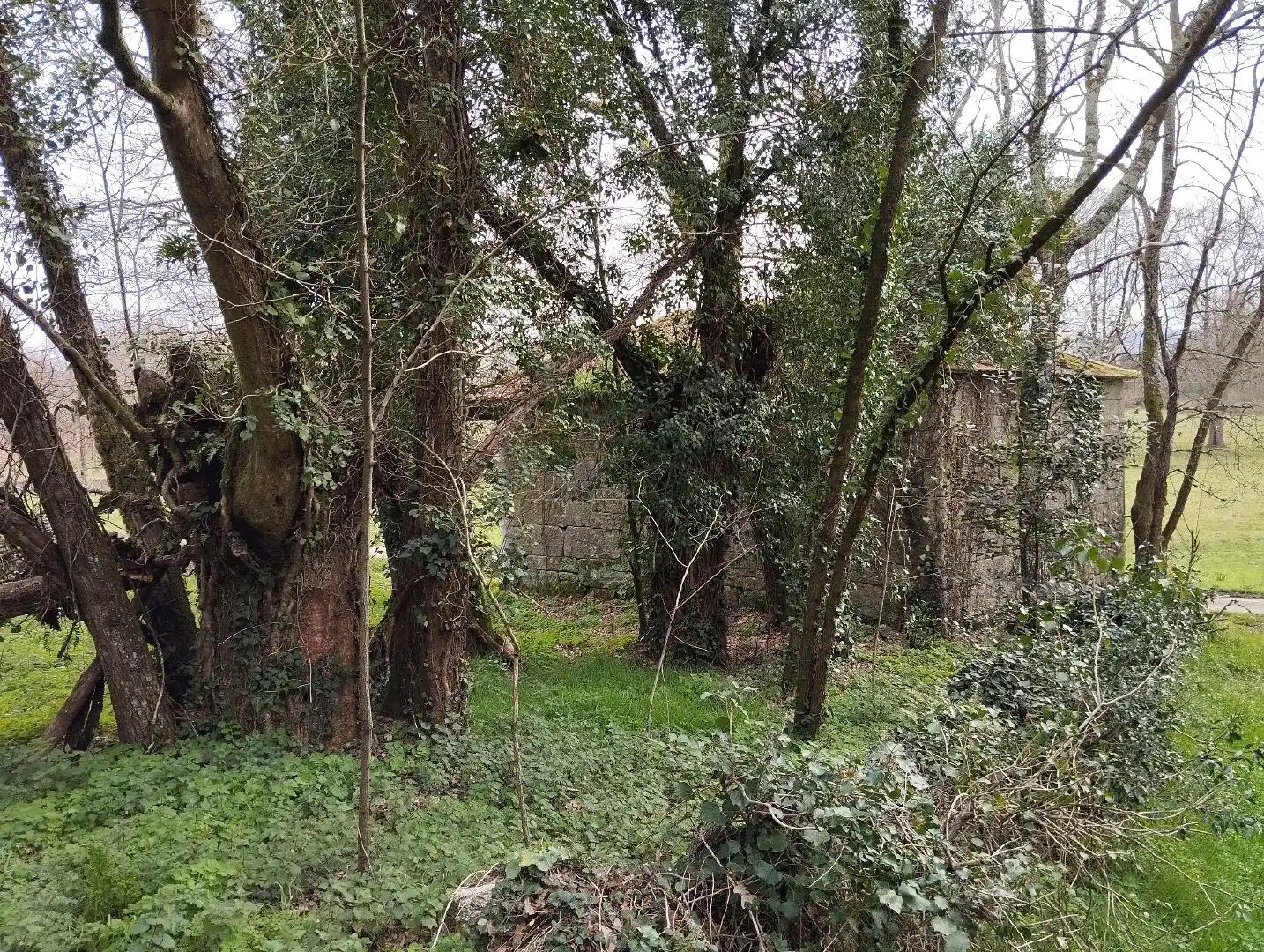 Haus zum Verkauf in Nogueira de Ramuín, imagen 3