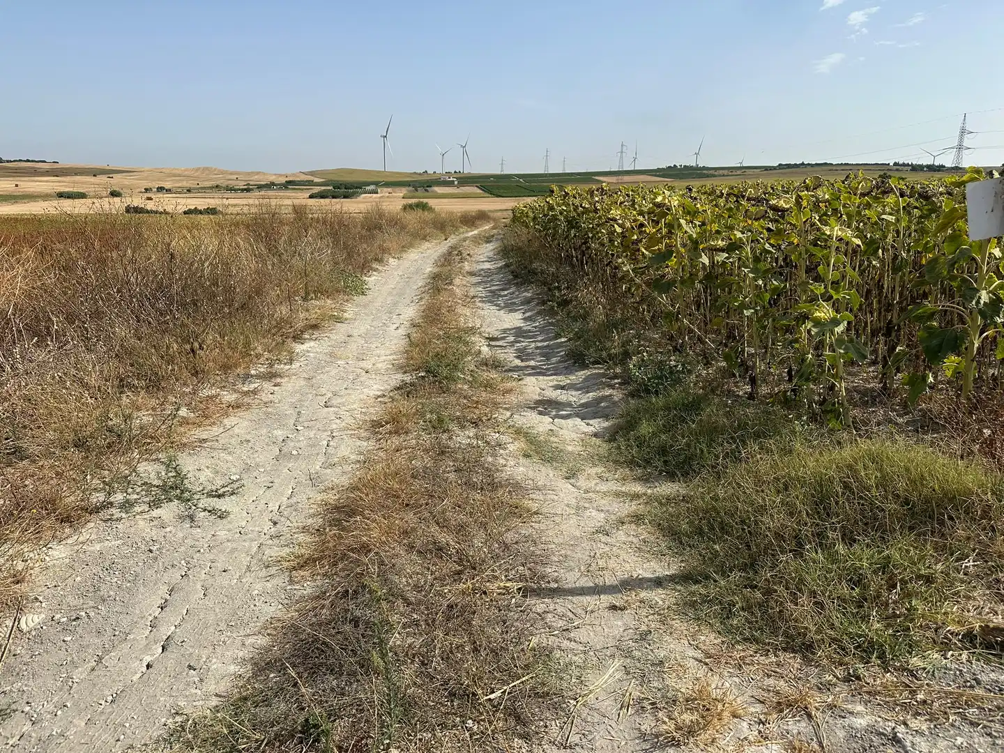 Rural land for sale in Los Franceses – La Vega