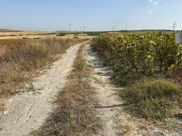 Terreno rustico in vendita a Los Franceses – La Vega