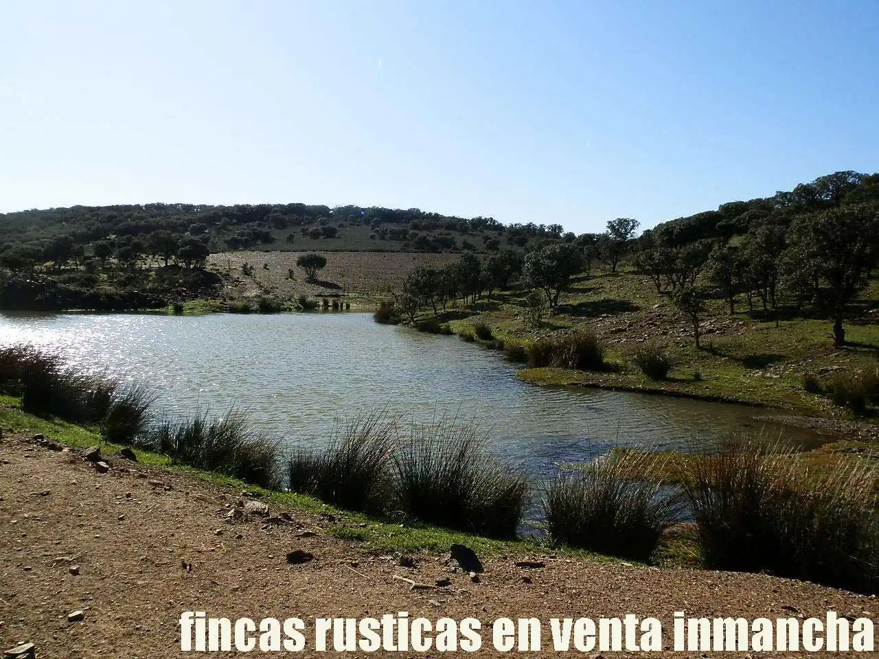 Vista exterior de Terreno en venta en Almuradiel