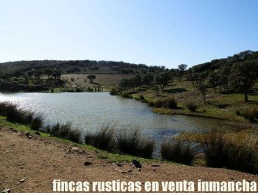 Terreny rústic en venda a Almuradiel