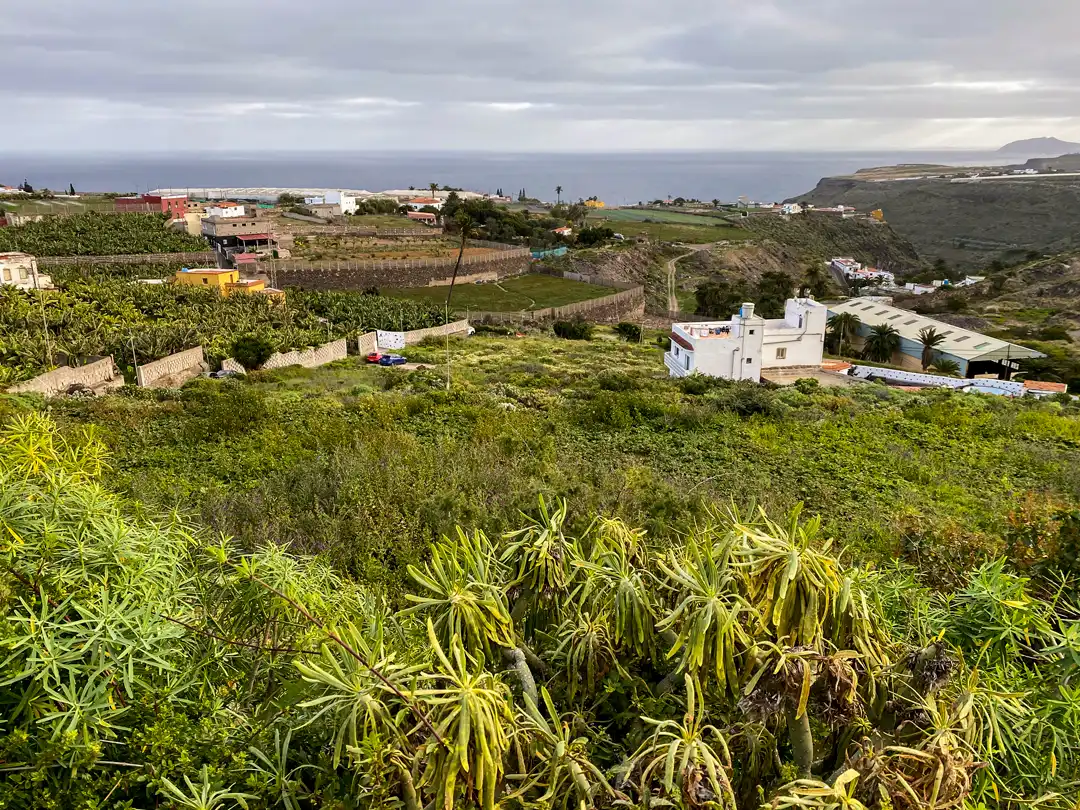 Finca rústica en venta en Moya (Las Palmas)