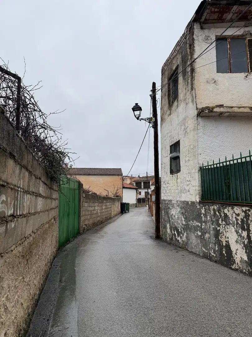 Exterior view of Houses for sale in Beas de Granada