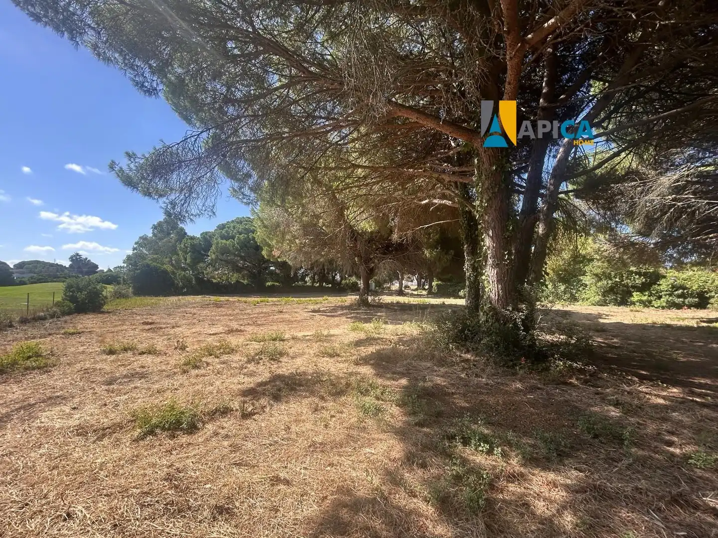 Terrenys i solars en venda a La Banda - Campo de Fútbol, imagen 17