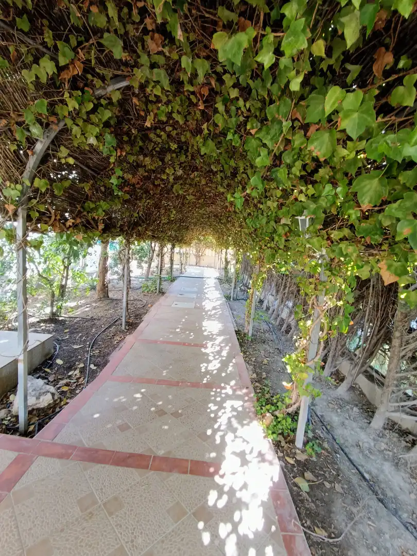 Houses for sale in San Fulgencio  with Air Conditioner, Heating and Private garden