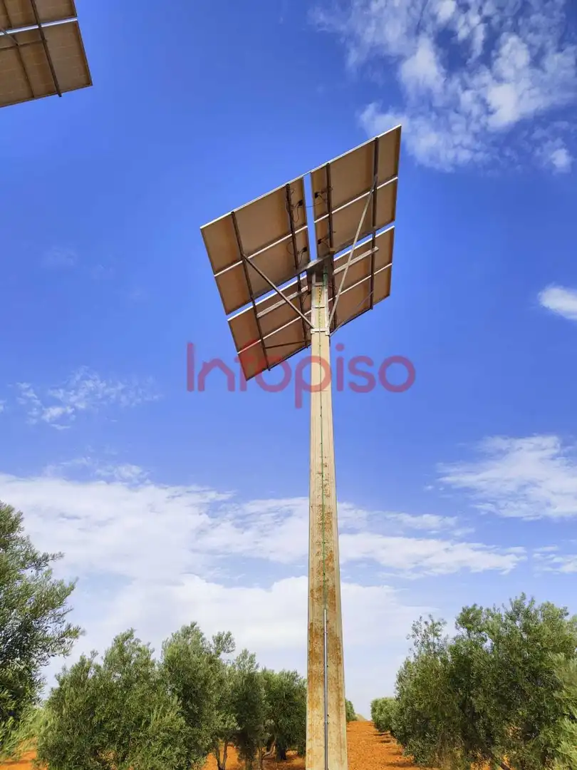 Casa rústica en venda a Valdepeñas, imagen 11