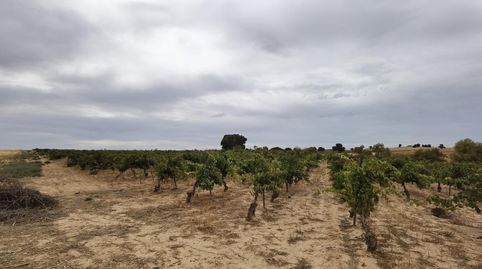 Foto 3 de Residencial en venta en La Alcantarilla, Fuente de Pedro Naharro, Cuenca