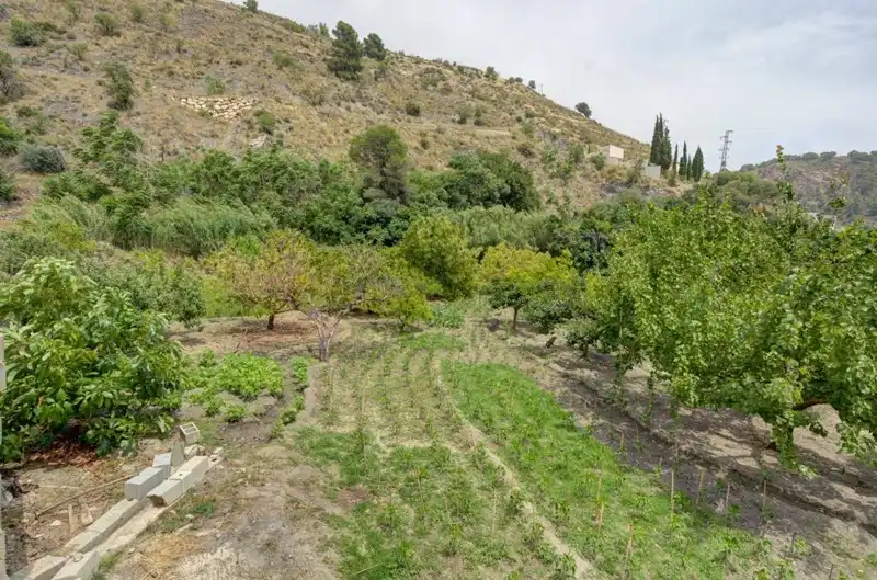 Terreno rustico in vendita a El Pinar, imagen 4