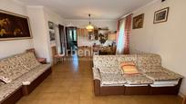 Sala d'estar de Casa o xalet en venda en Pineda de Mar amb Terrassa i Piscina