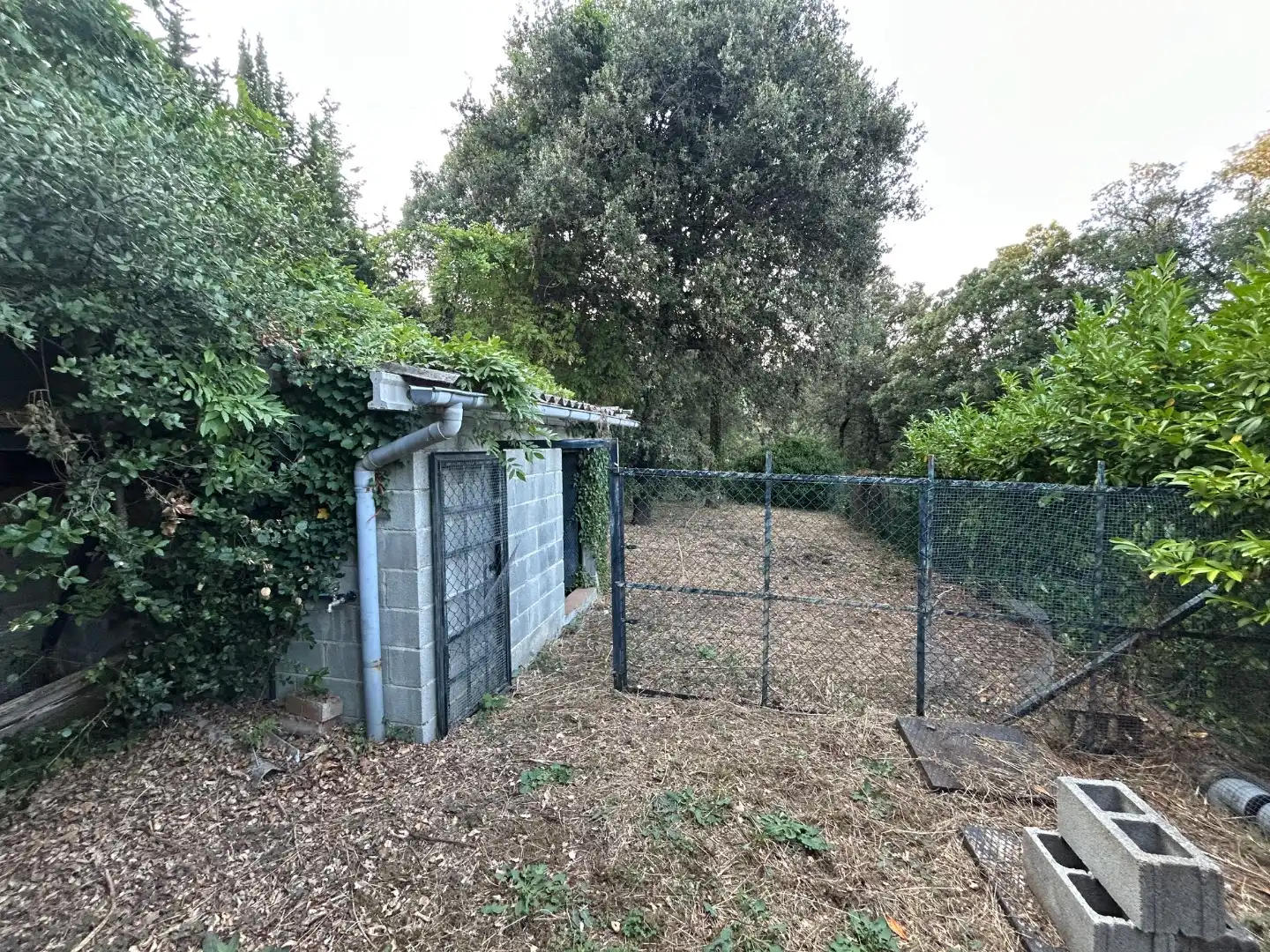 Terreno residencial en venta en Carrer Turó de Monfort 51, imagen 15
