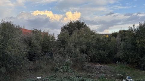 Photo 5 of Residential for sale in Del Pla, Centre - Can Nadal, Barcelona