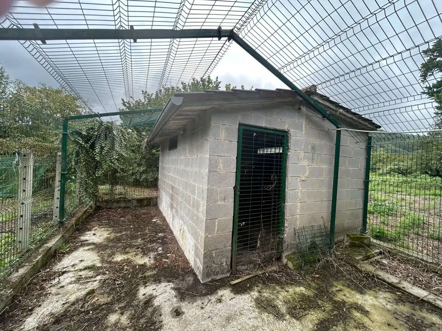 Terreni e lotti in vendita a Sama, imagen 12