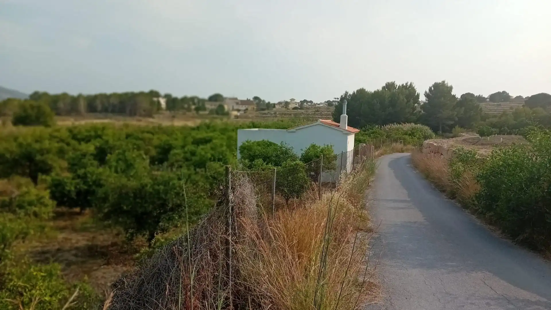 Rural land for sale in Altea ciudad, imagen 20