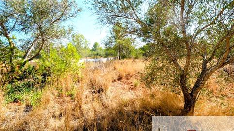 Photo 3 of House or chalet for sale in Los Pinares - La Masia, Valencia