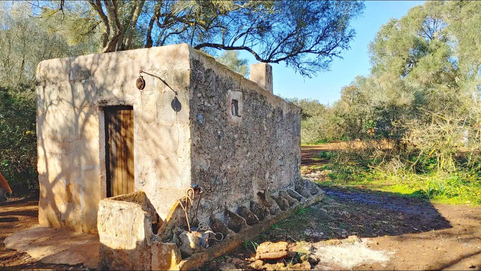 Terrenys i solars en venda a Felanitx Poble, imagen 11