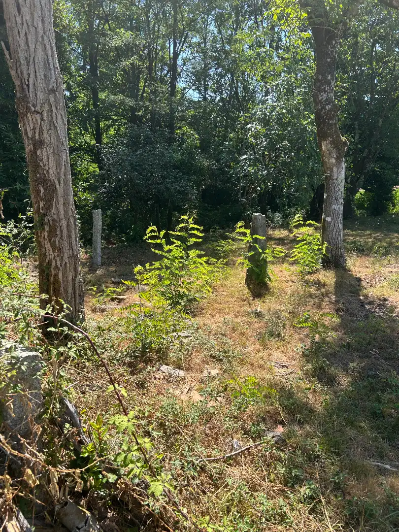 Terreno residencial en venta en Lugar a Lomba, imagen 2