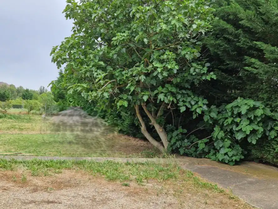 Terreno en venta en Quel