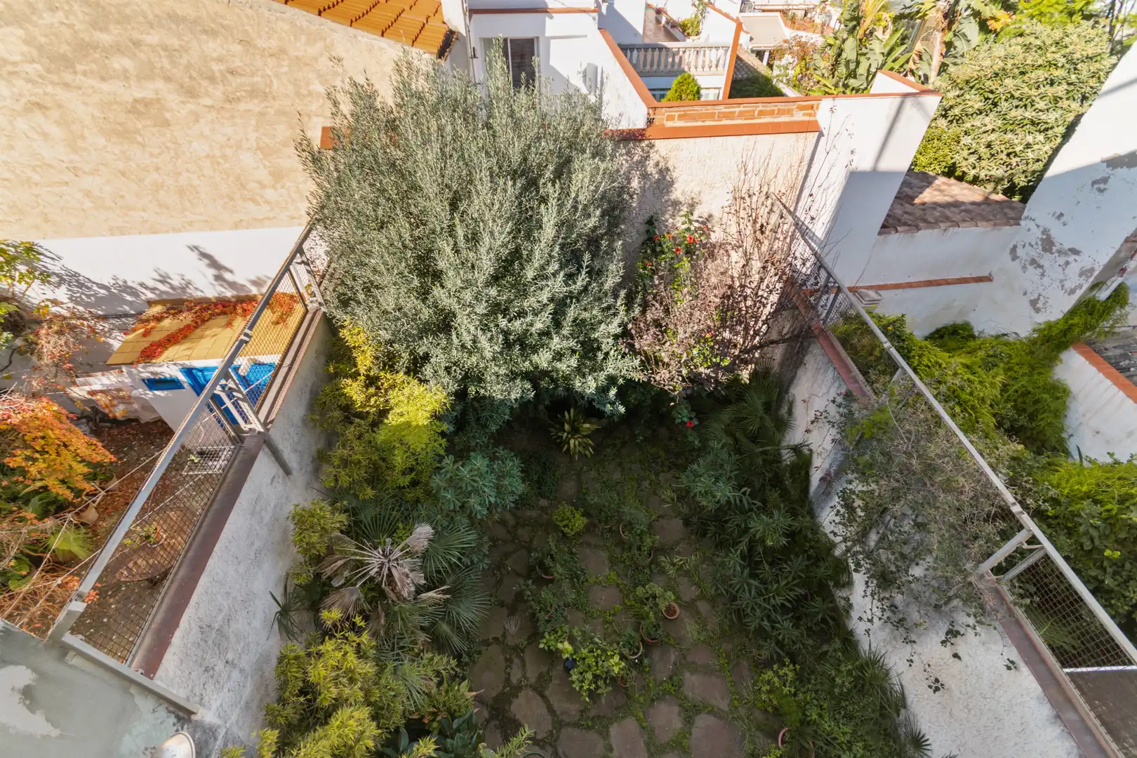 Jardín de Casa o chalet en venta en Badalona con Jardín privado, Terraza y Trastero