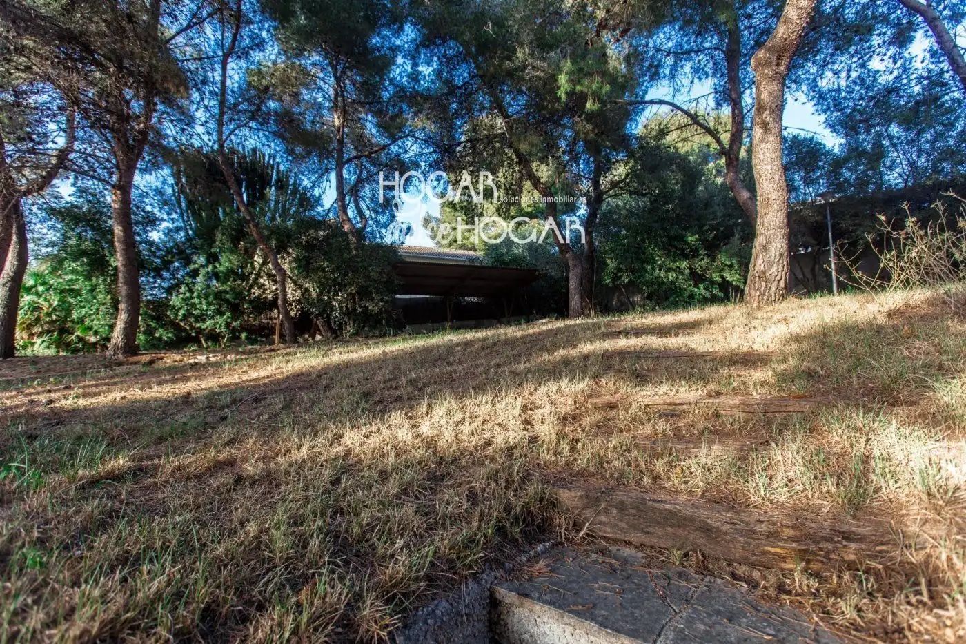 Terreno rustico in vendita a Mèxic, imagen 10