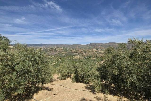 Terreno en Venta en El Valle