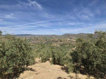 Terreno rustico in vendita a El Valle