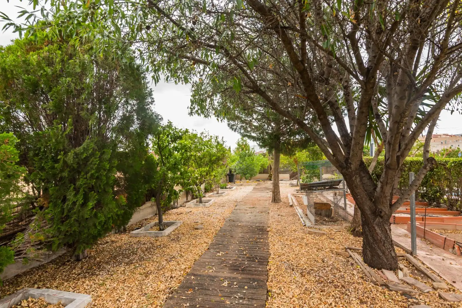 Jardín de Casa o chalet en venta en Murcia con Aire acondicionado, Calefacción y Jardín privado