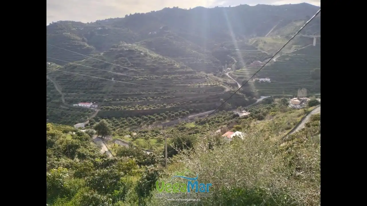 Vista exterior de Finca rústica en venda en Almuñécar
