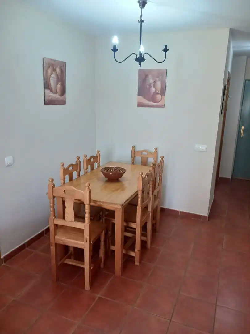 Apartments for rent in Carretera del Molino Viejo, Los Gallos