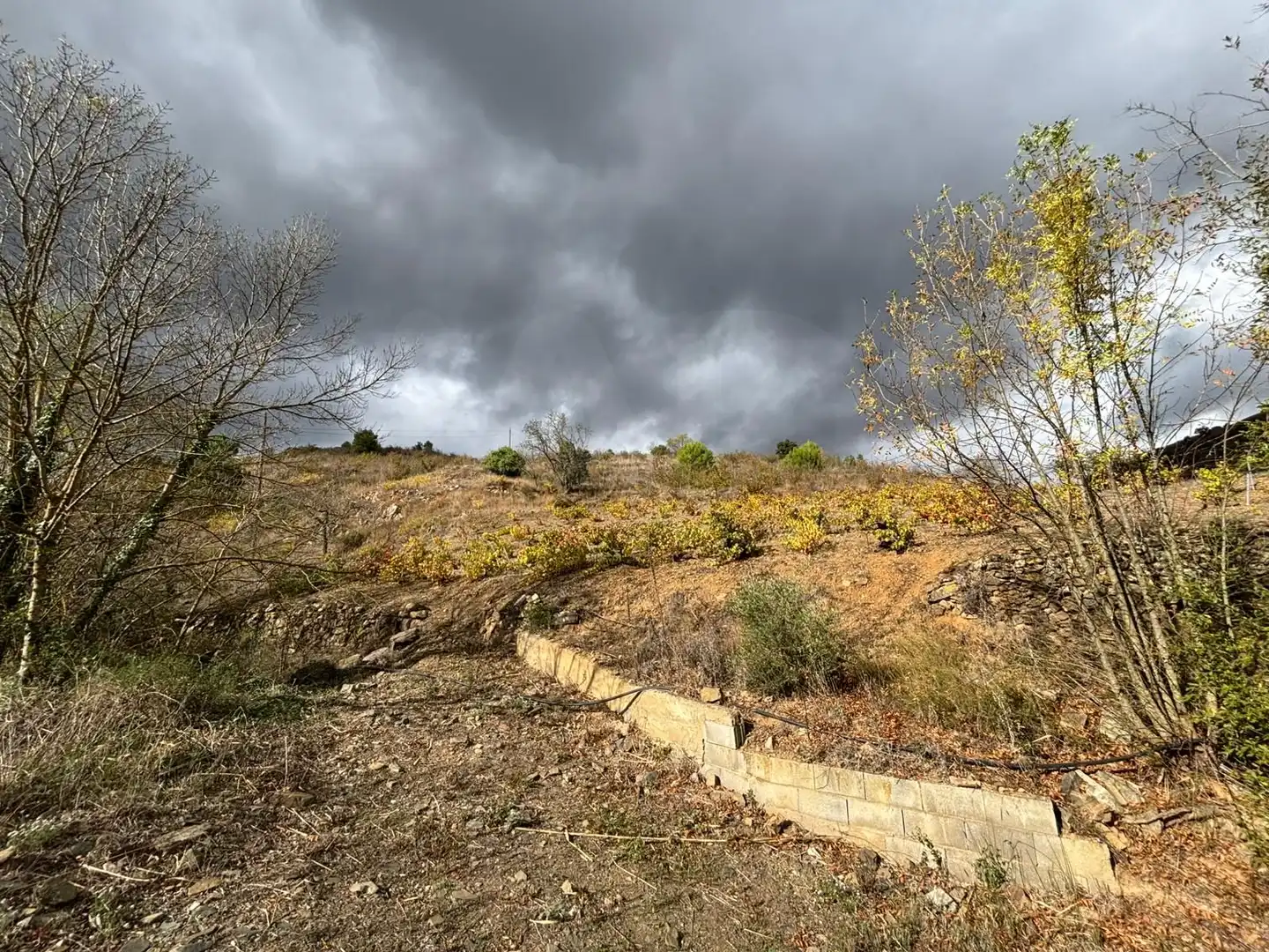 Terreno rústico en venta en Porrera, imagen 6