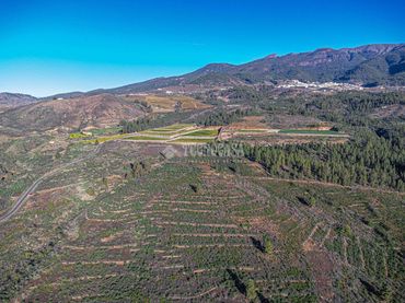 Terreno rústico en venta en Poligono 1, ERA VERDE, VILAFLOR DE CHASNA