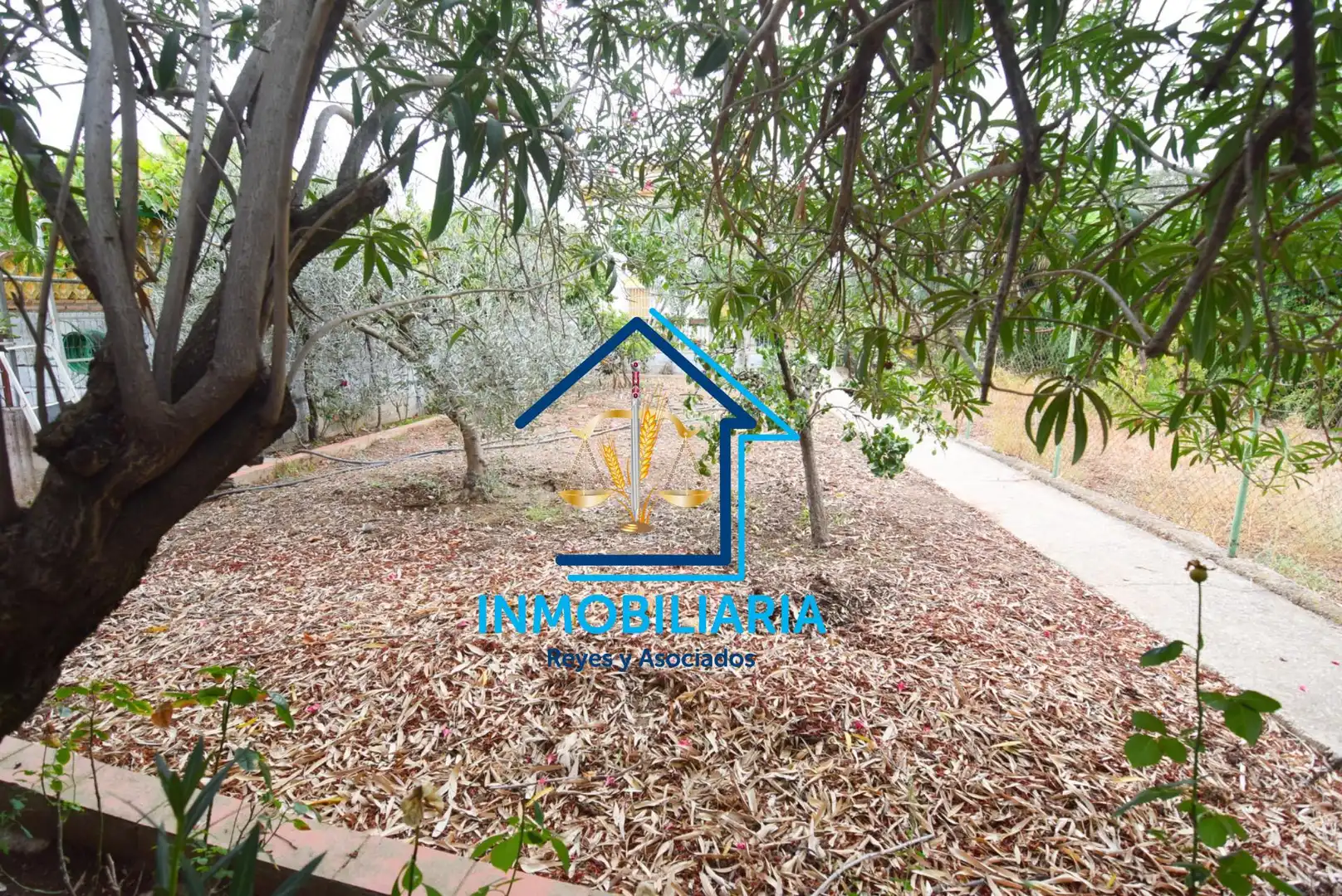 Casa en venda a Almodóvar del Río, imagen 57