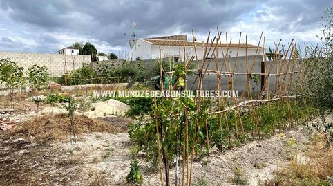Foto 4 de Residencial en venta en Ctra. Moriles-aguilar de la Fra,, Aguilar de la Frontera, Córdoba