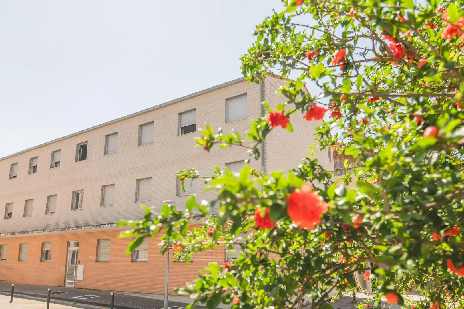 Vista exterior de Piso en venta en Aoiz / Agoitz con Calefacción, Parquet y Trastero