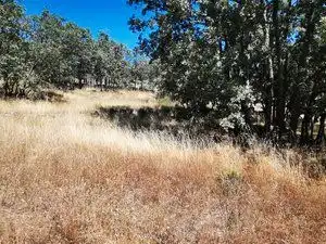Terreni e lotti in vendita a Jarandilla de la Vera, imagen 7