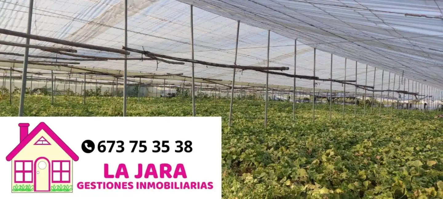 Grundstücke und Bauplätze zum Verkauf in La Loma Baja