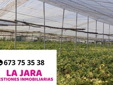 Terrenos y solares en venta en La Loma Baja