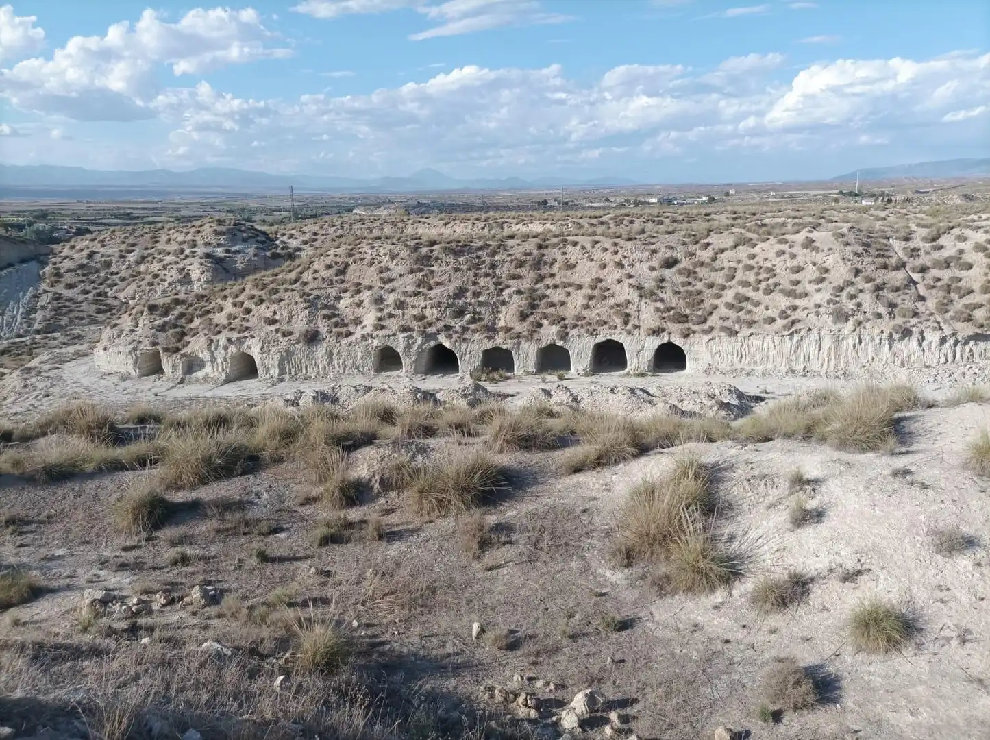 Terreny rústic en venda a Baza