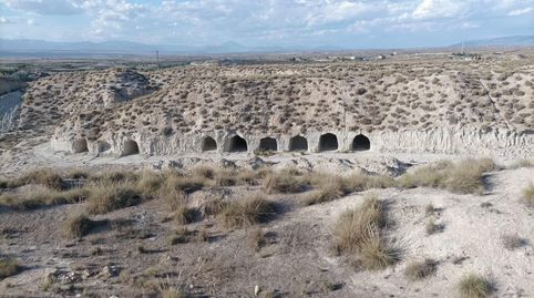 FINCA EN BAZA CON CASAS CUEVA