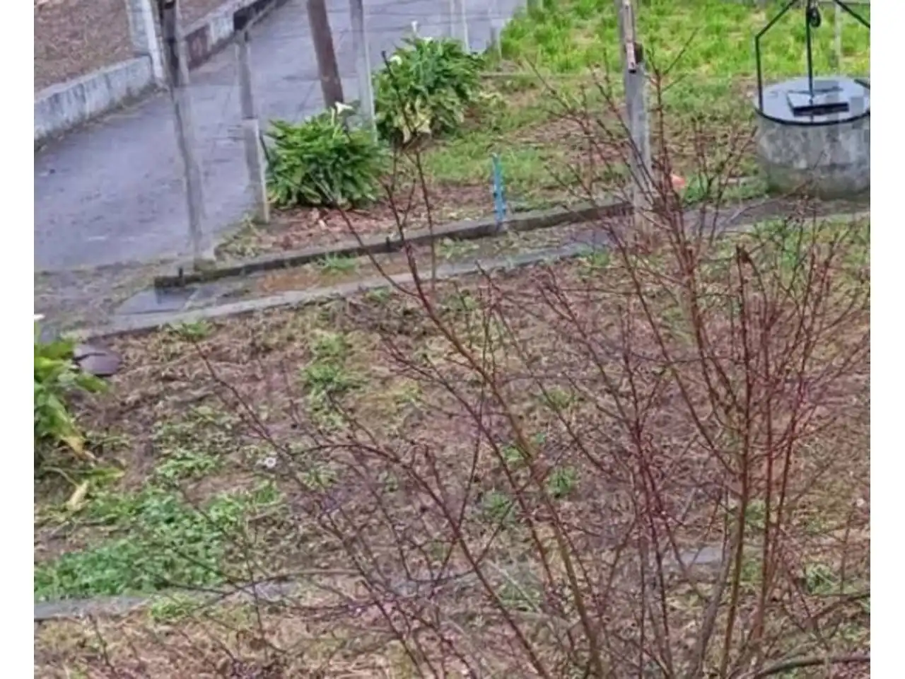 Haus mit Garten zum Verkauf in San Rosendo, imagen 9