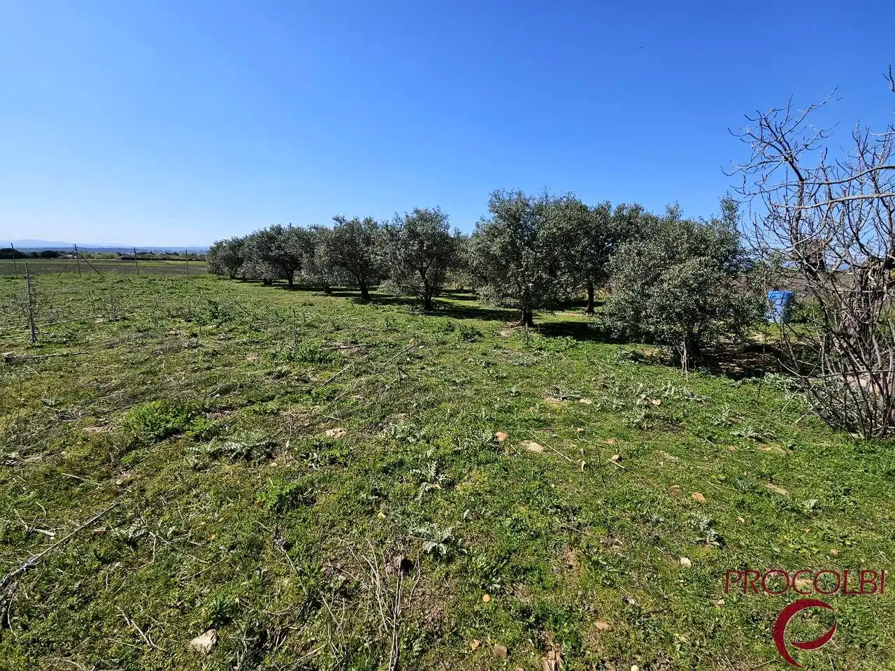 Terreno en venta en Valdeolmos-Alalpardo