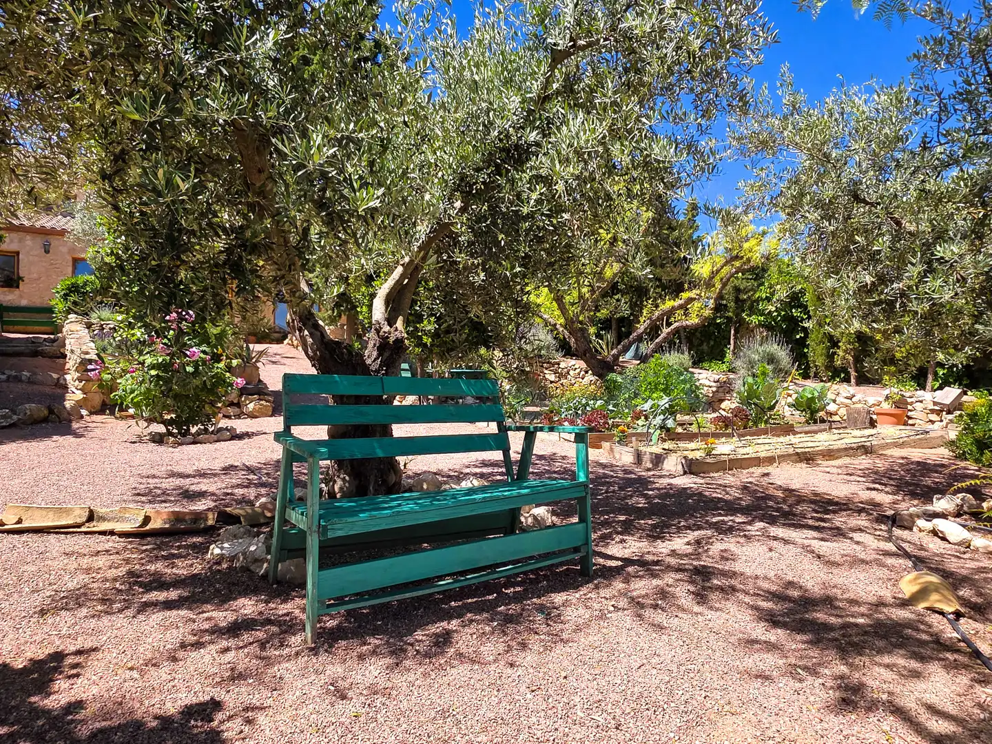 Casa rústica en venda a Jumilla, imagen 20