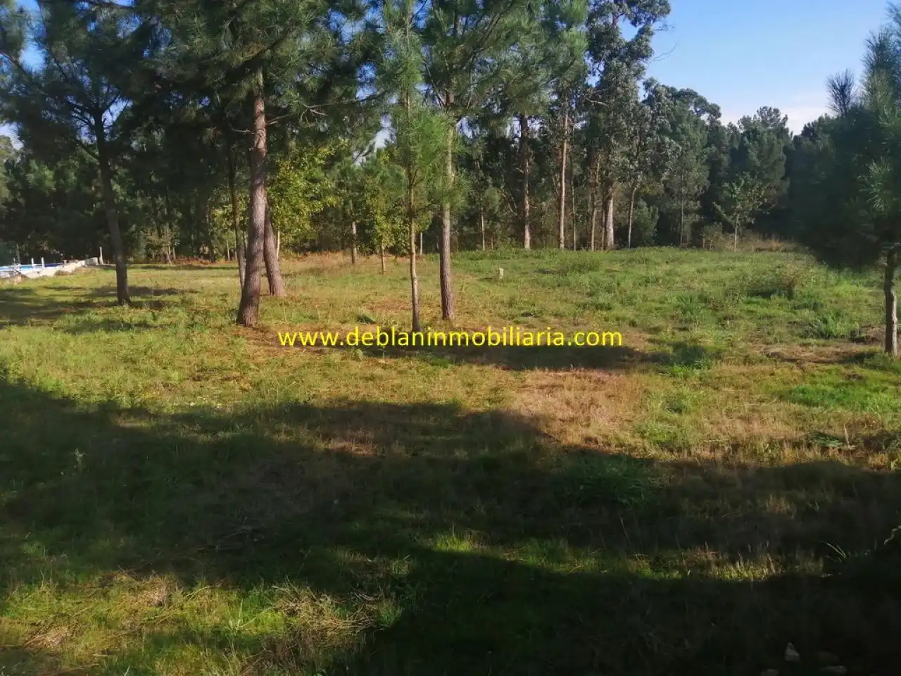 Residencial de lloguer en Salceda de Caselas