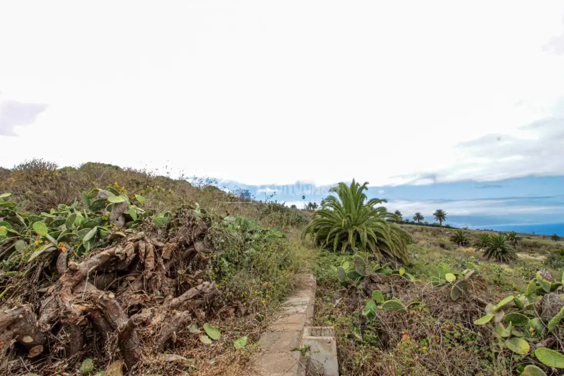 Terreno en venta en El Pris - Juan Fernández