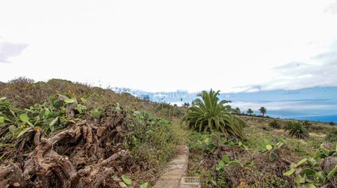 Foto 5 de Terreno en venta en El Pris - Juan Fernández, Tacoronte